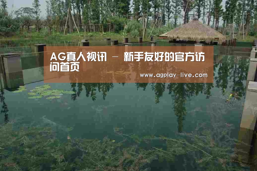 案例展示二