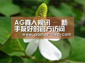 产品名称三
