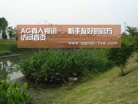 案例展示四