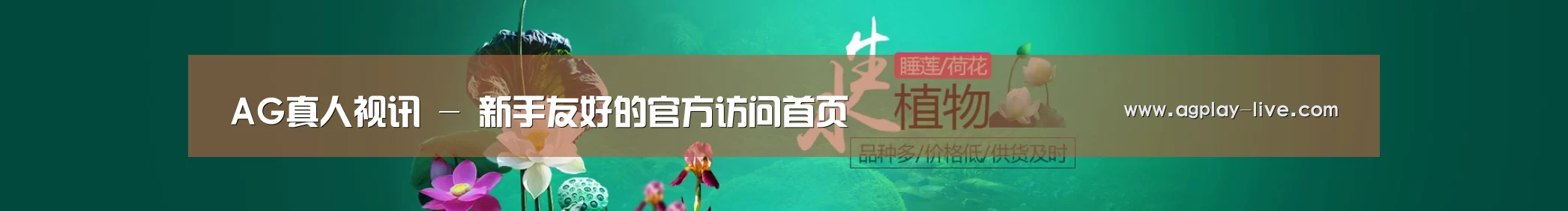 鲜花水草花卉网站模板