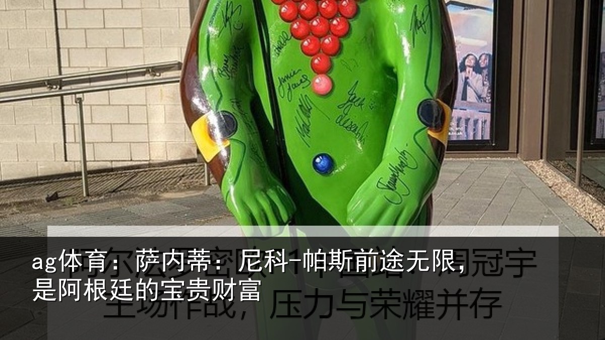 ag体育：萨内蒂：尼科-帕斯前途无限，是阿根廷的宝贵财富