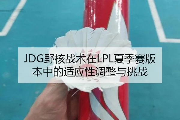 JDG野核战术在LPL夏季赛版本中的适应性调整与挑战