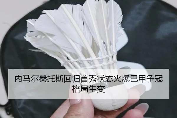 nei-ma-er-sang-tuo-si-hui-gui-shou-xiu-zhuang-tai-huo-bao-ba-jia-zheng-guan-ge-ju-sheng-bian-2-134.jpg