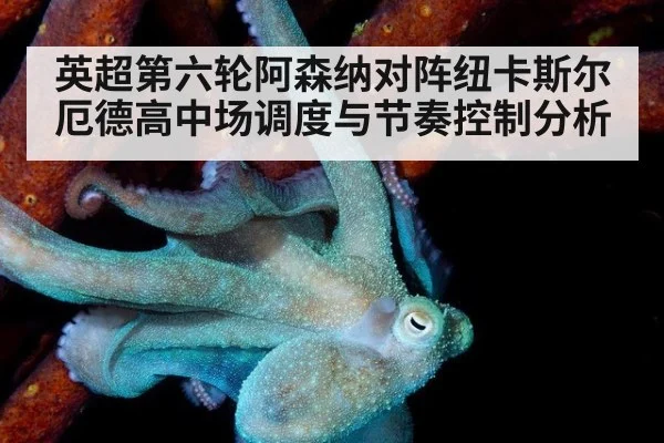 英超第六轮阿森纳对阵纽卡斯尔厄德高中场调度与节奏控制分析