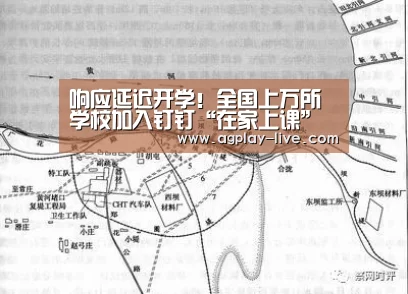 响应延迟开学!全国上万所学校加入钉钉“在家上课”计划“AG入口”(图1) AG电竞