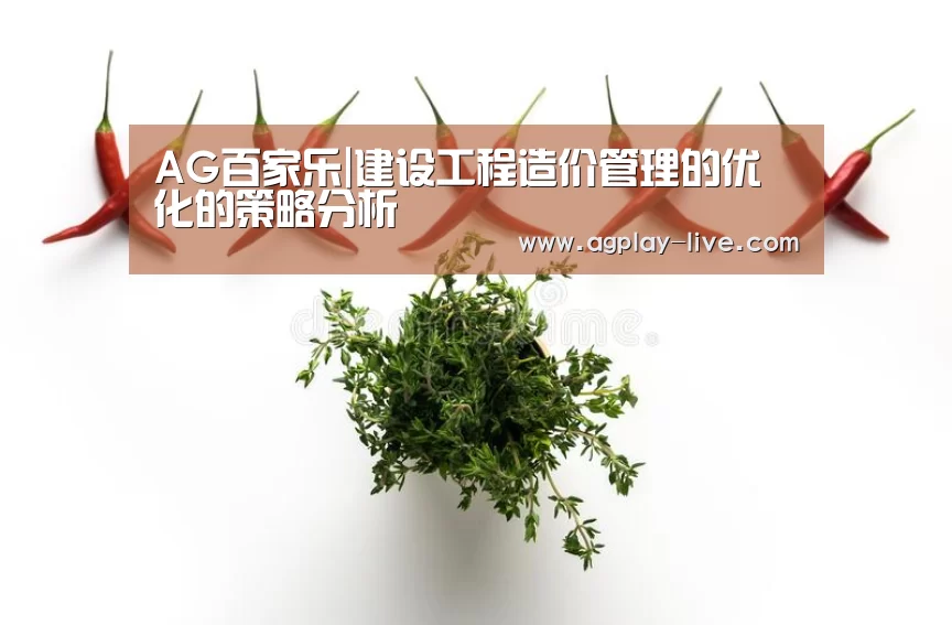 AG电竞